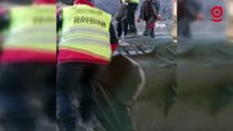 Yıkılan beton bloklarda mahsur kalan yavru köpekler, iş makinesi yardımıyla kurtarıldı