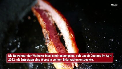 Würstchen mit Soße in Briefkästen