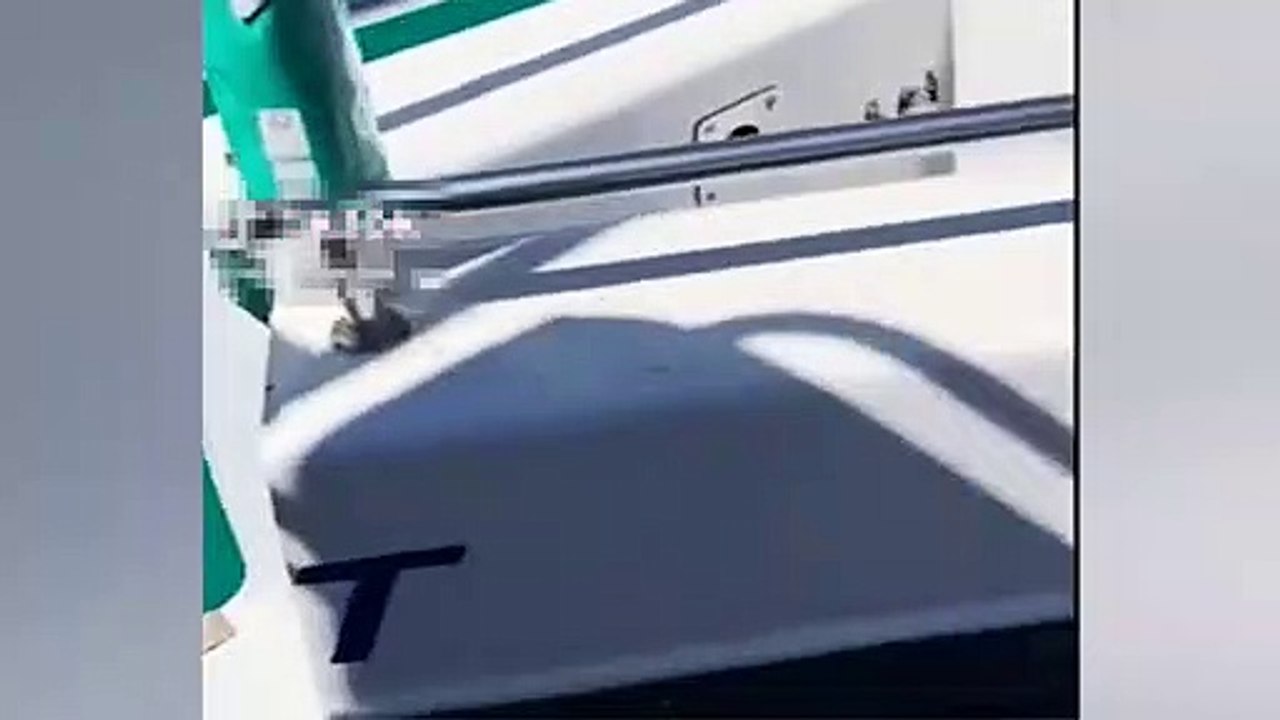 Korku dolu anlar: 8 yaşındaki çocuğa köpekbalığı saldırdı!