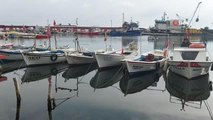 Marmara Denizinde bir aydır avlanması yasak olan karides için yasak bu geceden sonra sona eriyor