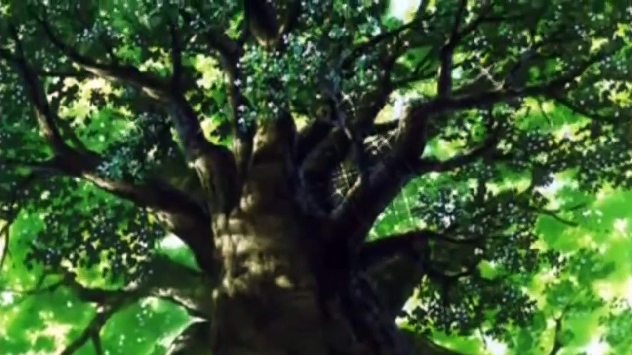 Inuyasha the Movie: Affections Touching Across Time | movie | 2005 | Official Trailer