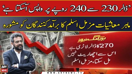 ‘Sell dollars and make money’, Muzzamil Aslam advices citizens