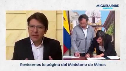 Cambio del manual de funciones en MinMinas