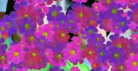 Wet Dreams 2 | movie | 2005 | Official Trailer