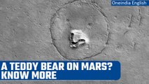 NASA spies Martian rocks that look just like a teddy bear | Oneindia News