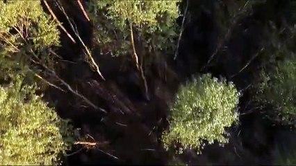 Wild Hungary – A Water Wonderland | movie | 2011 | Official Trailer