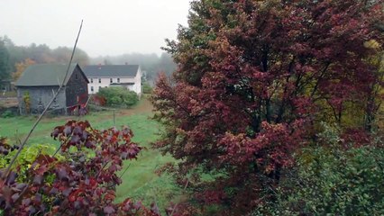 God Knows Where I Am | movie | 2016 | Official Trailer