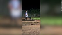 Aussie police bit off more than they could chew after tackling this angry crocodile - with a towel