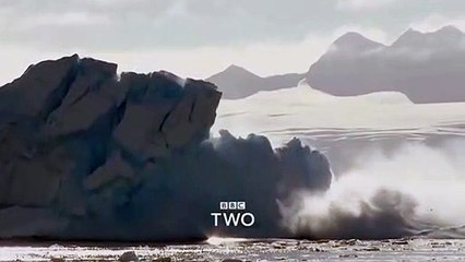 Frankie Boyle's New World Order | show | 2017 | Official Trailer