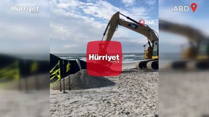 ABD'de son 2 ayda 15 balina karaya vurdu