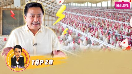 Việt Thảo Phiêu Lưu Ký - Tập 28
