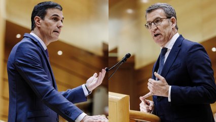 Cara a cara Sánchez y Feijóo en el Senado: "Su discurso rezuma populismo, menos mal que España ya no le cree·