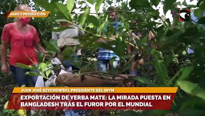 "En el 2022, las exportaciones aumentaron un 17% en relación al año 2021"