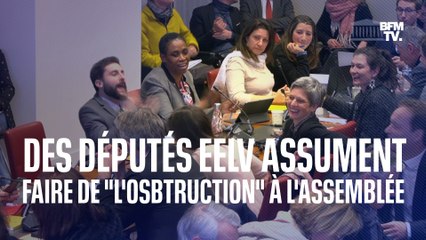 En commission des affaires sociales, les députés EELV assument faire de "l'obstruction" pour "être l'écho de la rue"