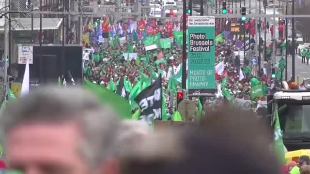 Las enfermeras de Bélgica se disfrazan de Fiona y Shrek para exigir mejores condiciones laborales