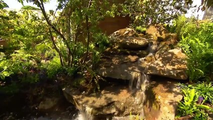 How Kate's early years campaign became her 'life's work'