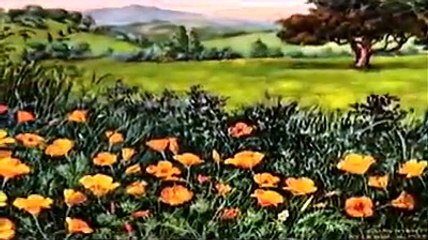 Brian Wilson: That Lucky Old Sun | movie | 2008 | Official Trailer