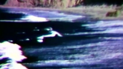 Purple Mountains | movie | 2020 | Official Trailer