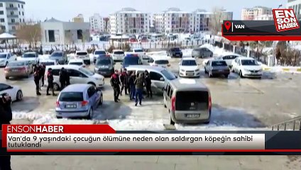 Van'da 9 yaşındaki çocuğun ölümüne neden olan saldırgan köpeğin sahibi tutuklandı