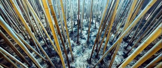 The Inhabited Island 2: Rebellion | movie | 2009 | Official Trailer