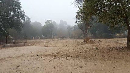 घने कोहरे व शीतलहरों से बढ़ी ठिठुरन