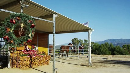 Ace & the Christmas Miracle | movie | 2021 | Official Trailer