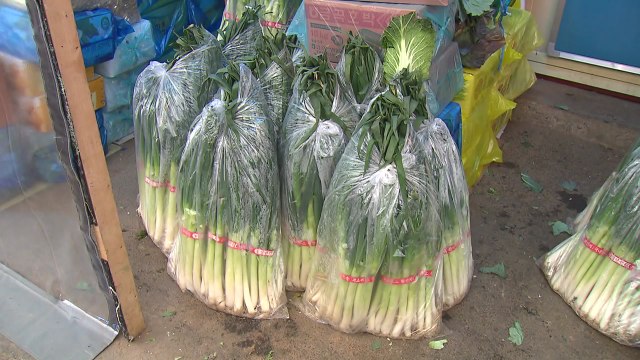 한파에 채솟값 급등...식품 가격도 줄줄이 인상 / YTN