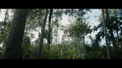 The Mercy of the Jungle (2019) | Intense War Drama & Survival Story 🎬