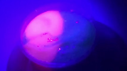 Original Stationery - Glow in the Dark le kit de fabrication de Slime  Neon - Partie 1