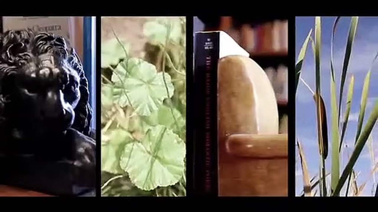 Notes from the Tilt-a-Whirl | movie | 2011 | Official Trailer