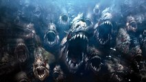 Piranha 3DD (2012) | Official Trailer, Full Movie Stream Preview