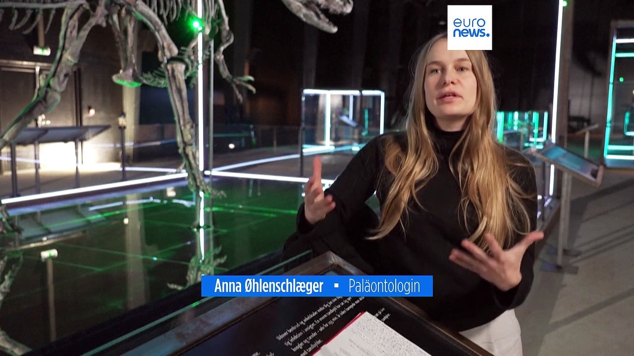 'Big Joe', wild, gefährlich und 150 Millionen Jahre alt