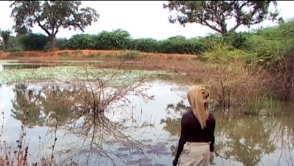 A Quest for Meaning | movie | 2015 | Official Trailer