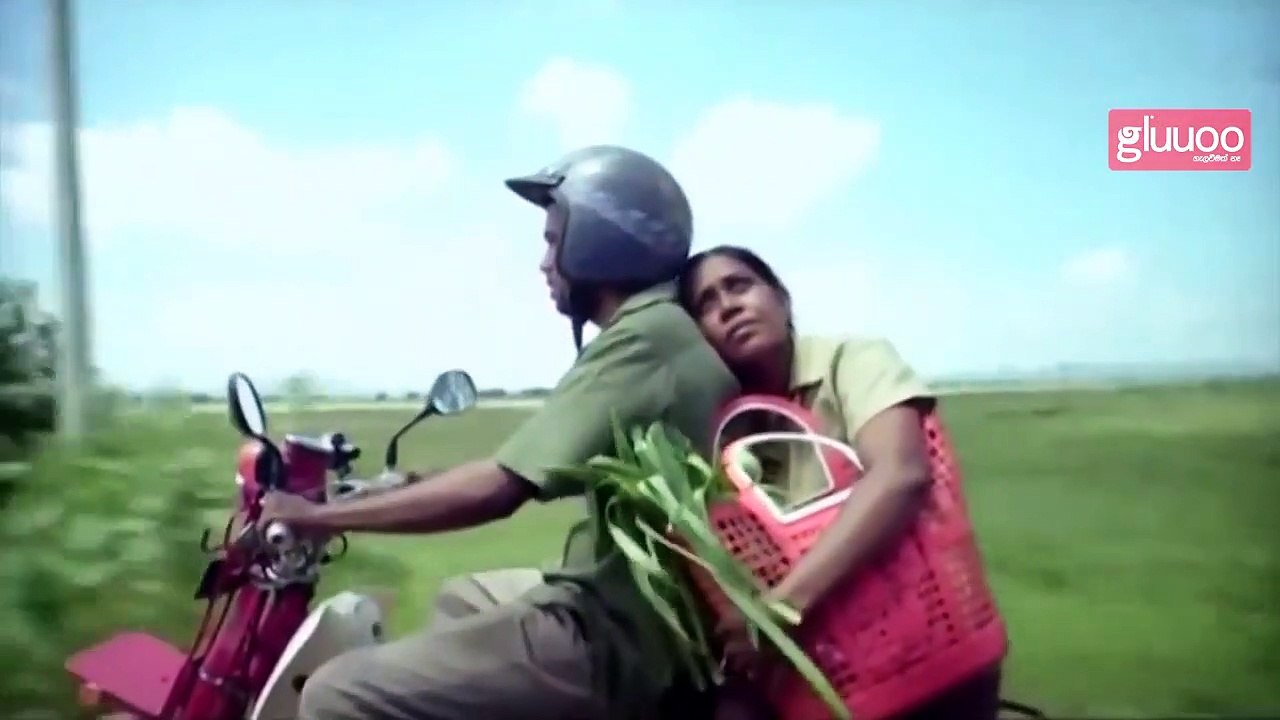 Flying Fish | movie | 2011 | Official Trailer