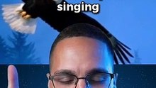 ANGELS CAUGHT SINGING LIVE