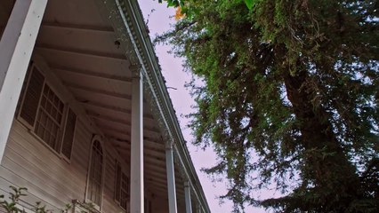 Roommate Wanted | movie | 2021 | Official Trailer