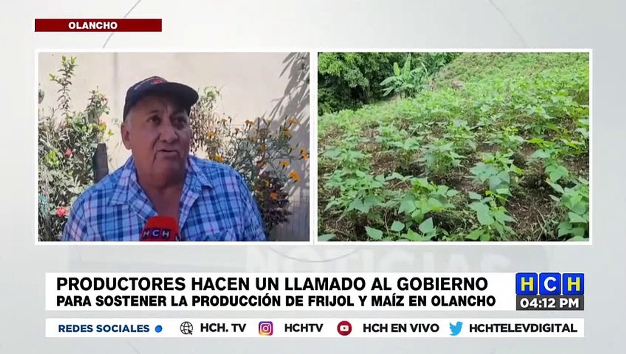 Productores hacen un llamado al gobierno para sostener la producción de frijol y maíz en Olancho