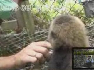 Bande Annonce Ep1 Les Missions de Chanee