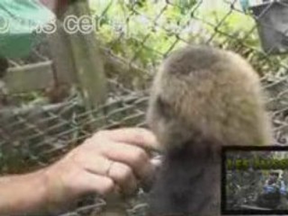 Bande Annonce Ep1 Les Missions de Chanee