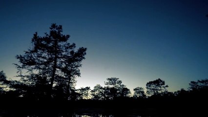 Boggy Creek Monster | movie | 2016 | Official Trailer