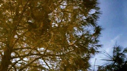 The Pursuit of D.B. Cooper | movie | 1981 | Official Trailer