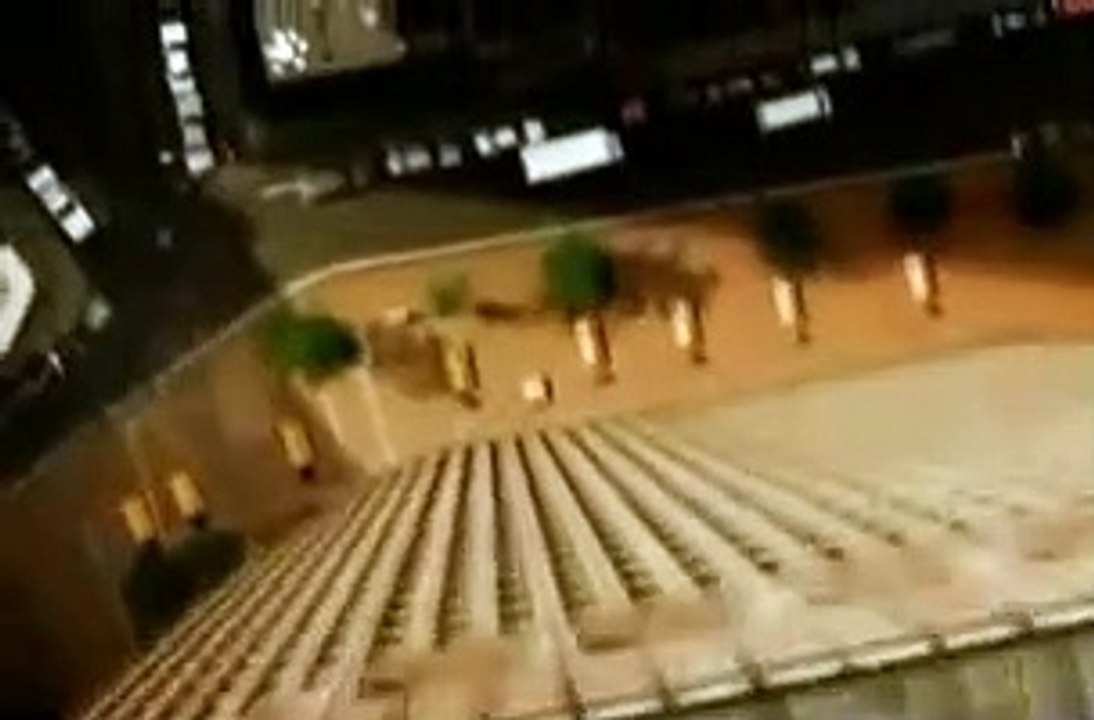 Tooth and Nail | movie | 2007 | Official Trailer