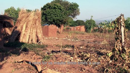 The Ants & the Grasshopper | movie | 2021 | Official Trailer