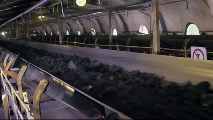 Black Coal, Thin Ice | movie | 2014 | Official Trailer