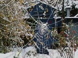 The Dreamed Films | movie | 2010 | Official Trailer