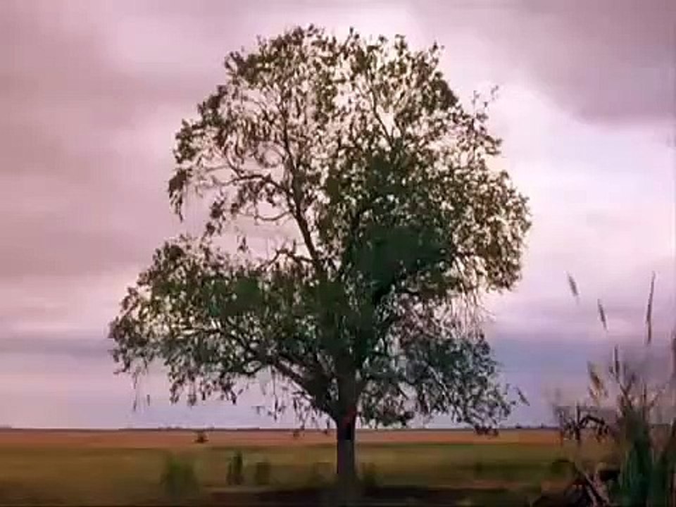 The Crow: Wicked Prayer | movie | 2005 | Official Trailer