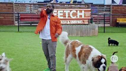 Self Employed | show | 2021 | Official Trailer