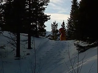 Bamses julerejse | show | 1996 | Official Trailer