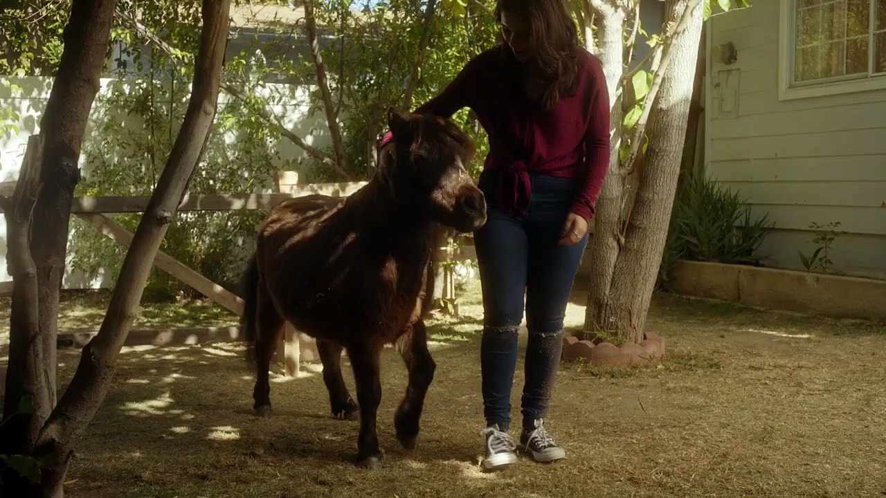 Adventures of Dally and Spanky | movie | 2019 | Official Trailer