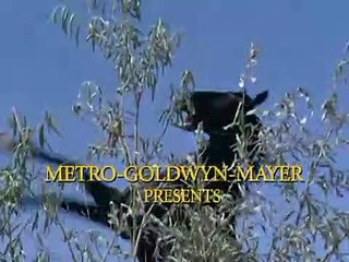 The Stranger Returns | movie | 1967 | Official Trailer